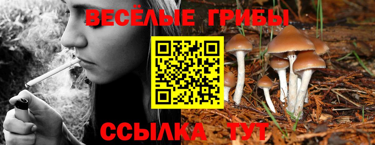 Псилоцибиновые грибы ЛСД Шарыпово